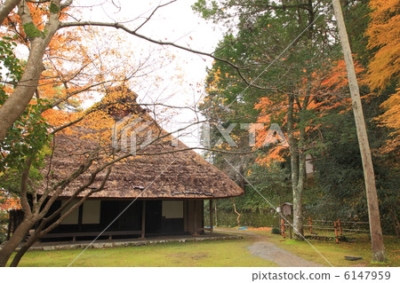 帶稻草屋頂的私人住宅 6147959