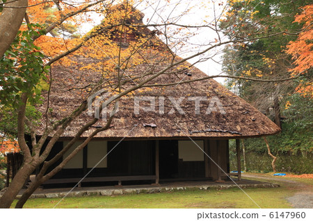 Private house with a straw roof Private house with a straw roof 6147960