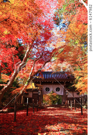 京都Komyoji秋葉 6147982