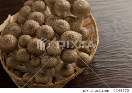 mushroom  6148370