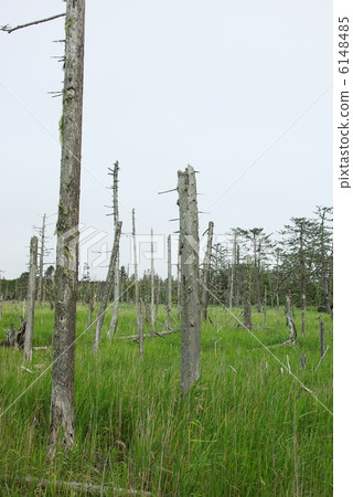 Harunakuni（北海道） 6148485