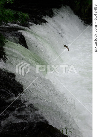Upstream of Sakura Mass (Sakura no Taki / Hokkaido) 6148499