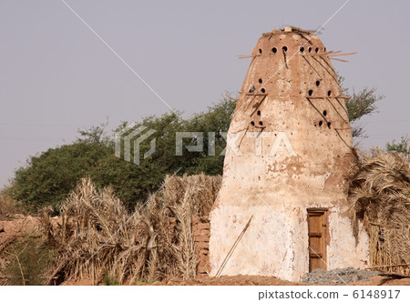 Dovecot 6148917