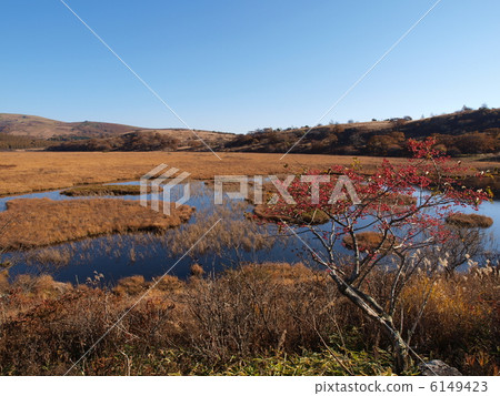 Kirigamine · Hachijigahara Marsh 6149423