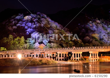 嵐山花道 嵐山花道 6150290
