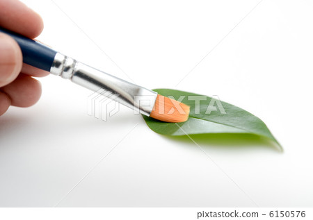 Brush with leaves Brush with leaves 6150576