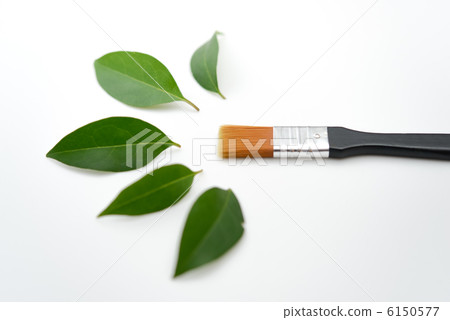 刷子和葉子 刷子和葉子 6150577