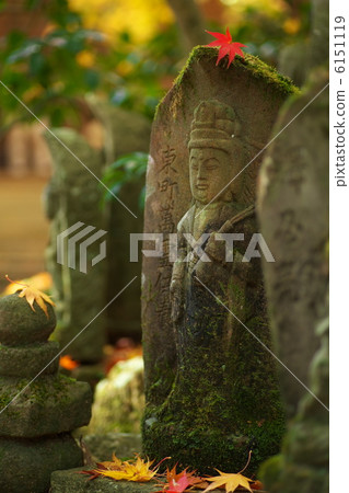 秋裝 秋裝 6151119