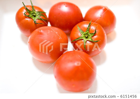 Tomato   6151456