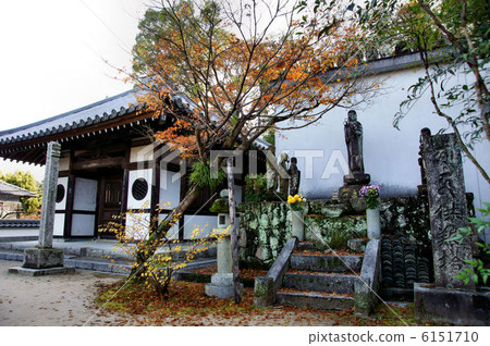 Koime Zenji Koime Zenji 6151710