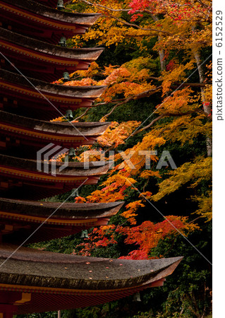 Daisyama神社十三層塔和秋葉 6152529