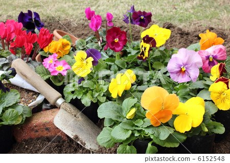 冬季園藝2(水平第3部分) 冬季園藝2(水平第3部分) 6152548