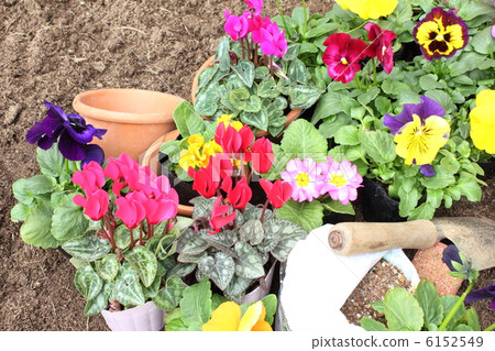 冬季園藝2(水平第2部分) 冬季園藝2(水平第2部分) 6152549