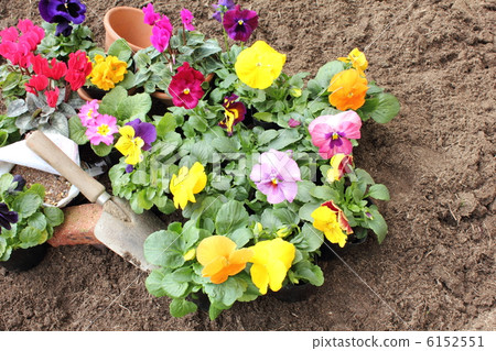Winter gardening 2 (Horizontal part 1) 6152551