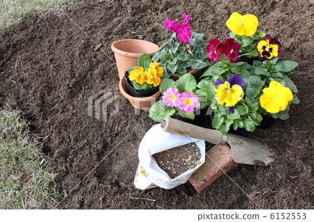 冬季園藝1(草坪草) 冬季園藝1(草坪草) 6152553