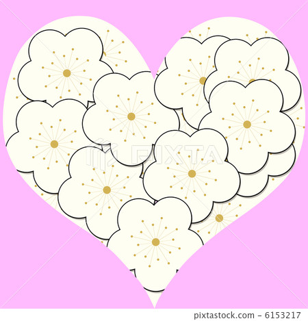 白色李子的心臟類型與桃紅色顏色後面的 白色李子的心臟類型與桃紅色顏色後面的 6153217