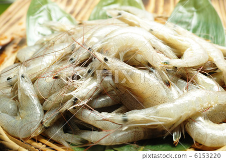 Lawn shrimp 6153220