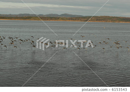 Lake Kuccialo 6153543