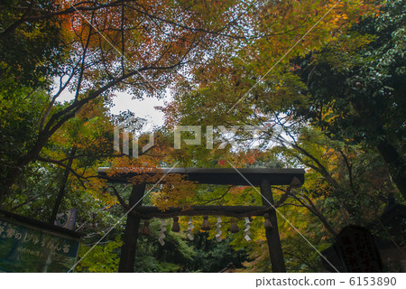 Nomiya Shrine 6153890