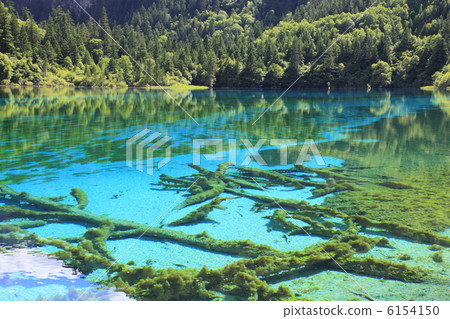 Jiuzhaigou Five Flower Sea 6154150