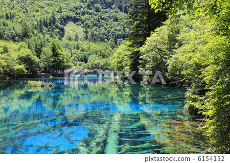 Jiuzhaigou Five Flower Sea Jiuzhaigou Five Flower Sea 6154152