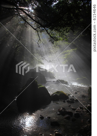 Light spot 1 Light spot 1 6154646