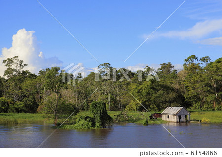 The Amazon River 6154866