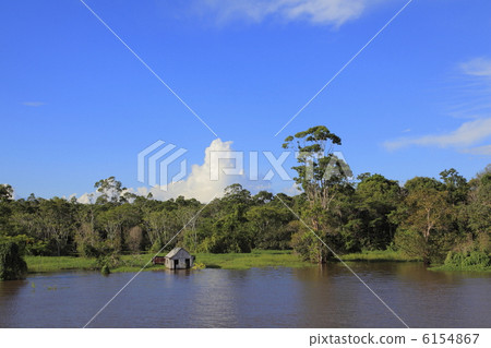 The Amazon River 6154867