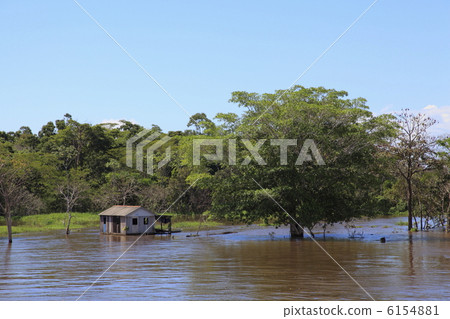 View of the banks of the Amazon 6154881