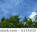 Greenery and scaly clouds 6155410
