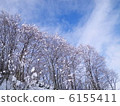 Snow-piled wood 6155411