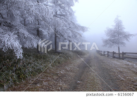 霧和冰樹和石渣路 6156067