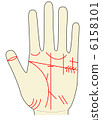 the palm of the hand, palm reading, the palm of one's hand 6158101