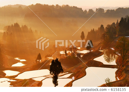 Rice terrace in morning fog Rice terrace in morning fog 6158135
