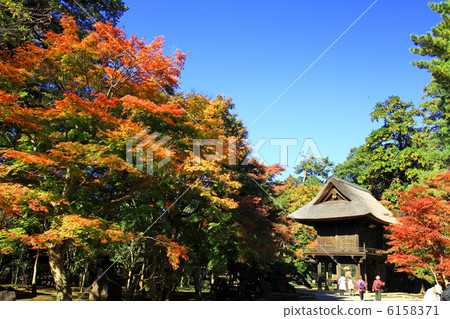 Hirin秋葉 Hirin秋葉 6158371