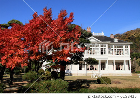 Autumn leaves with Incheon 6158425