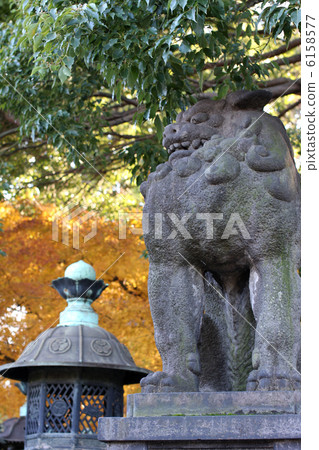 Ueno Toshogu Shrine 6158577