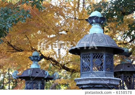 Ueno Toshogu Shrine 6158578