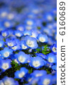 blue flower	 6160689