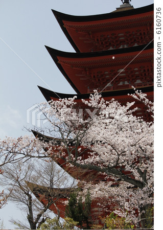 五個故事 6160736