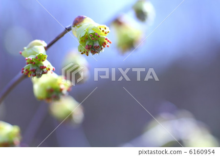 Toshi sickle 6160954