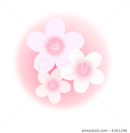 一點櫻桃樹 6161296