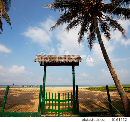 Tropical beach Tropical beach 6161352