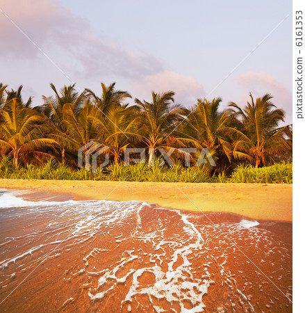 Tropical beach 6161353
