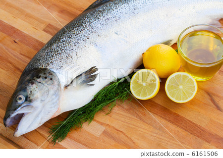 Salmon fish close up 6161506