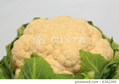 cauliflower  6162269