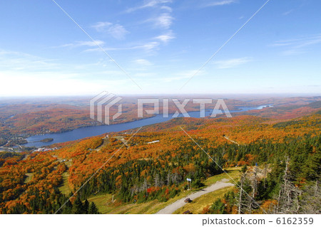 Autumn leaves of Maple Route 6162359