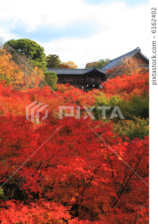 Momiji of Kyoto Tofukuji Temple bridge 6162402