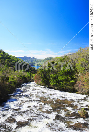 蜻蜓Mizuba杜鵑花開花的冠瀑布 6162422