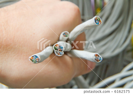 hand holding network cables 6162575